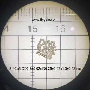 Smco Hersteller super kleine Präzision Mikromagnet