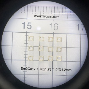 Micro Precision SmCo Ringmagnet für mobilen Motor